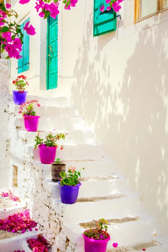 promedio informal Resplandor 30 ideas para decorar las escaleras exteriores con macetas y plantas  ornamentales - JARDINES CASA