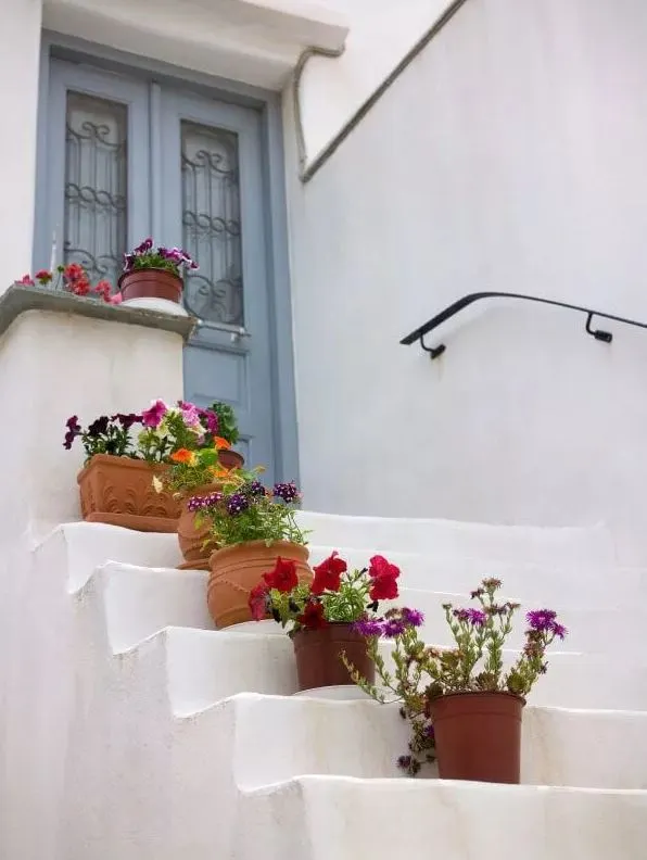 popular conocido tornado 30 ideas para decorar las escaleras exteriores con macetas y plantas  ornamentales - JARDINES CASA